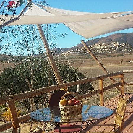 Vinofilia Wine Country Inn Вале де Гуадалупе Екстериор снимка