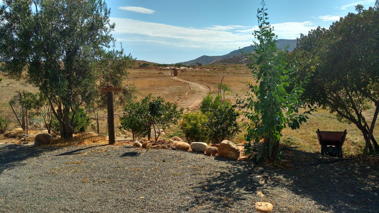 Vinofilia Wine Country Inn Вале де Гуадалупе Екстериор снимка
