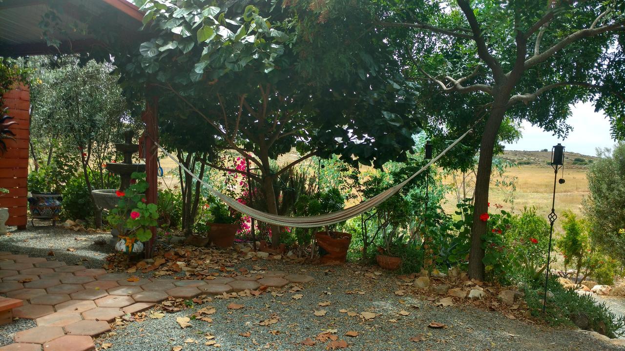 Vinofilia Wine Country Inn Вале де Гуадалупе Екстериор снимка